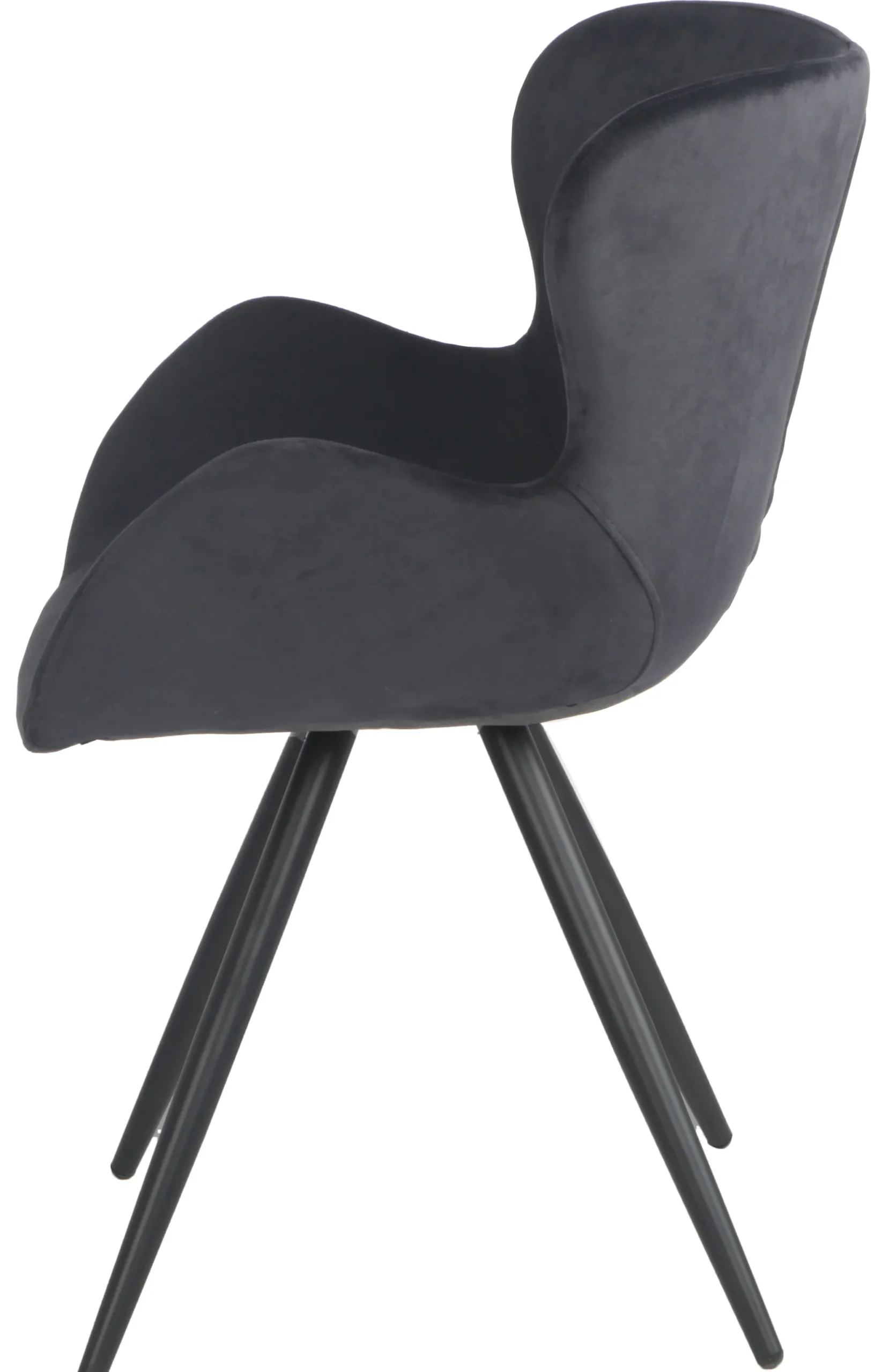 Alma velour sort